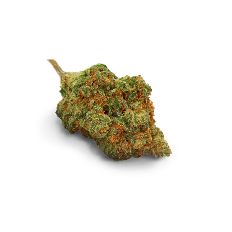 Animal Cookies