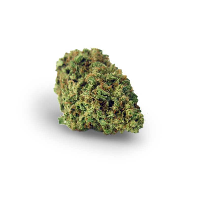 Black Cherry Soda (Purple)