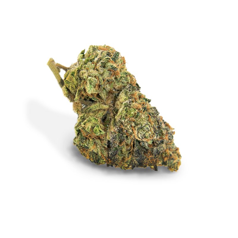 Gelato