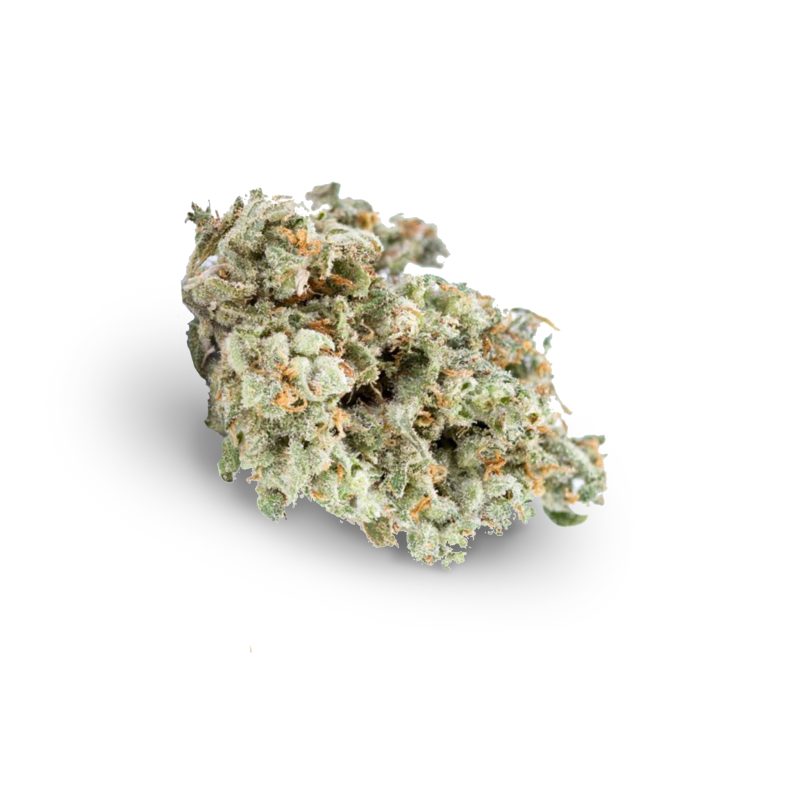 Jack Herer