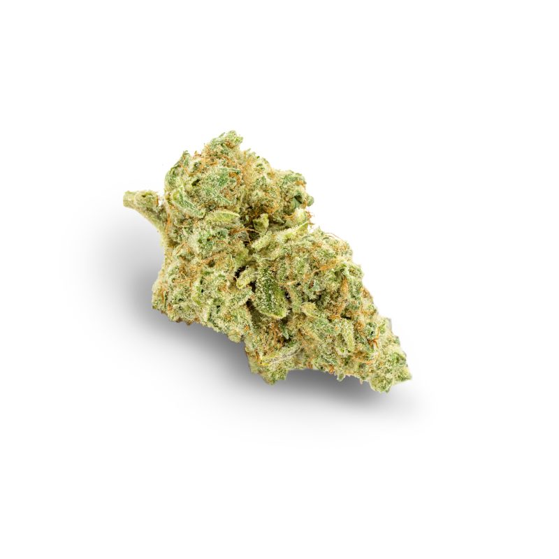 Jungle Cake