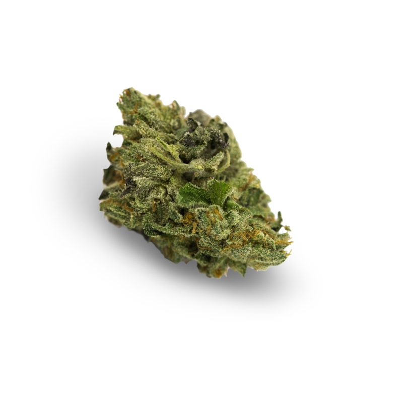Master Kush
