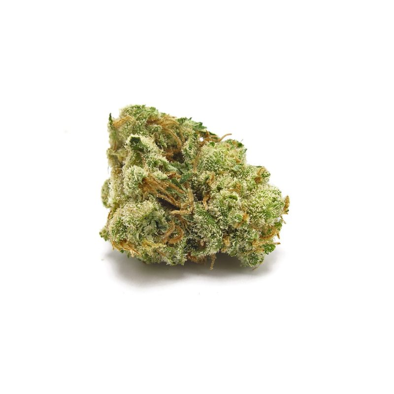 G13