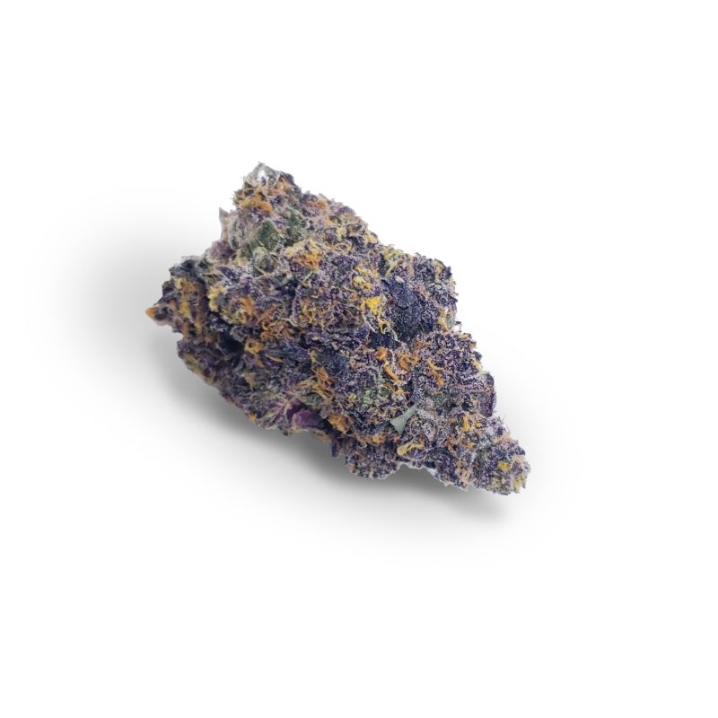 Gelato 33 (Purple)