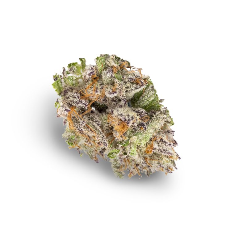 Lava Cake (Purple)