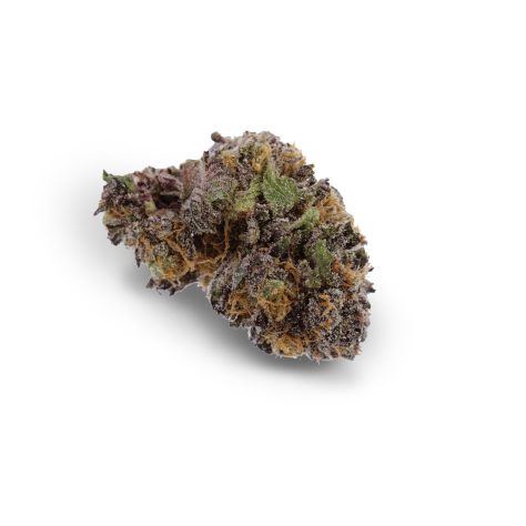 Purple Widow (Purple)