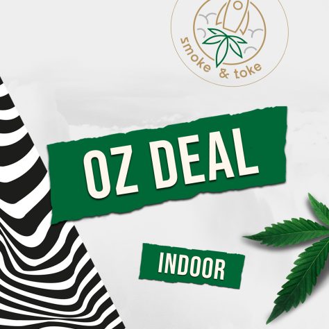 🔥 Fire Indoor Deal