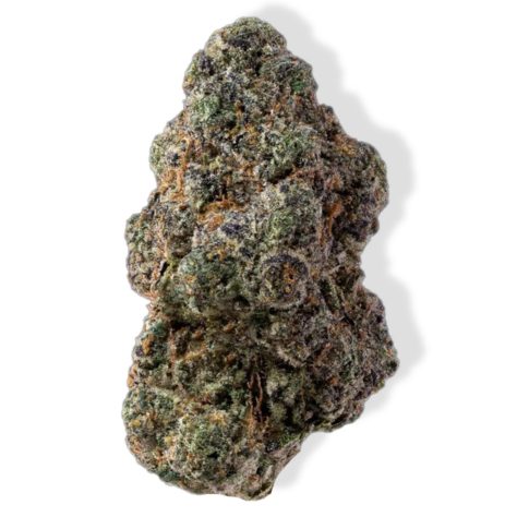 Jack Skellington - 14g