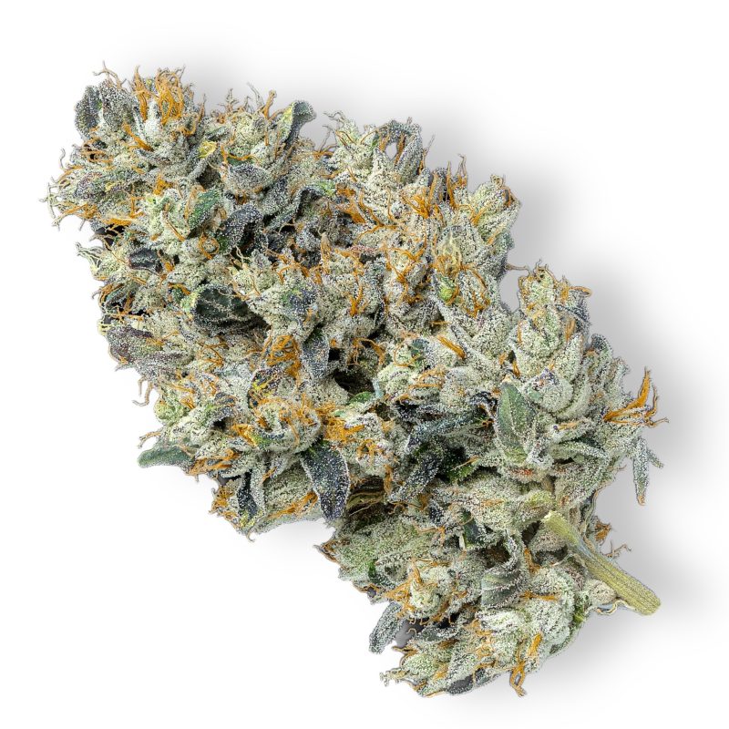 ChemDawg