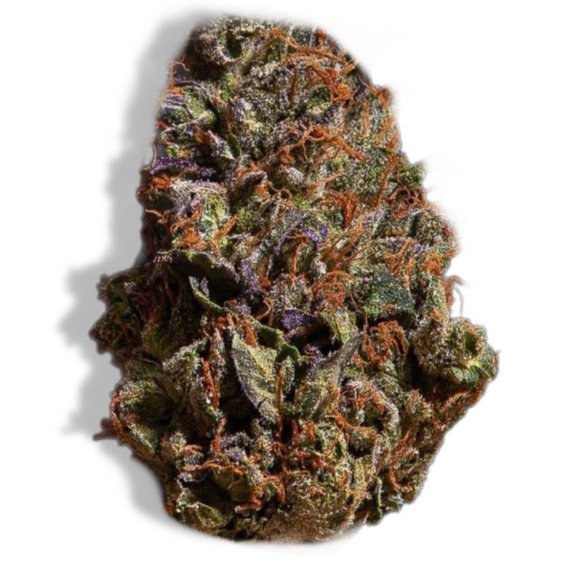 Purple Panther