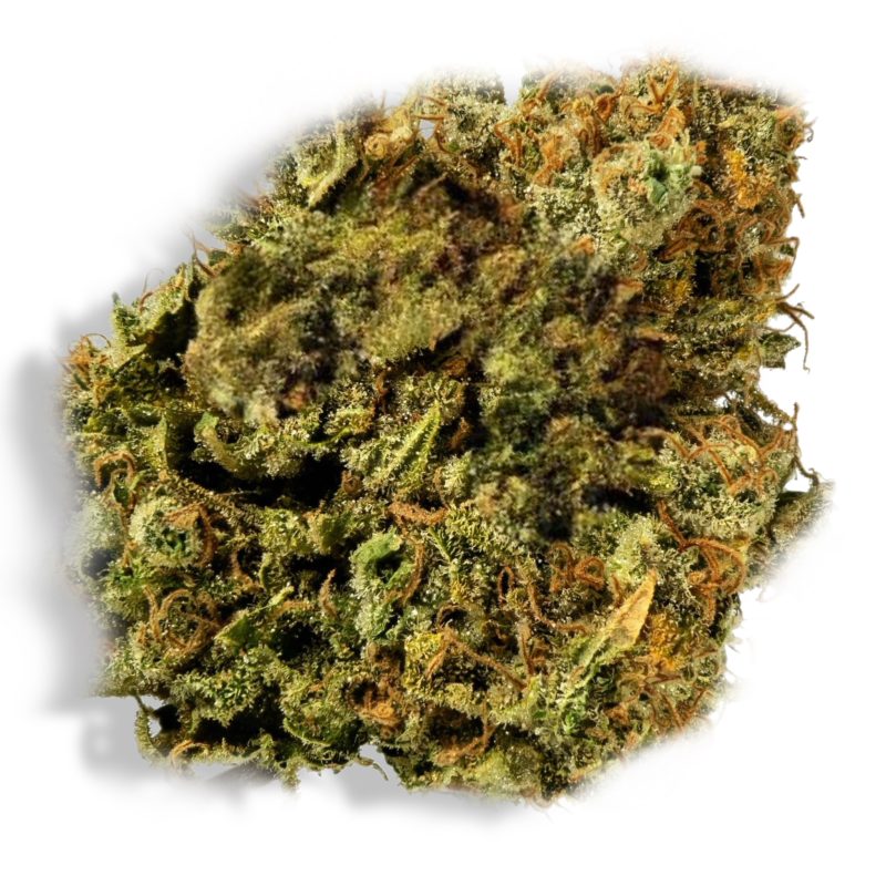 Papaya Punch