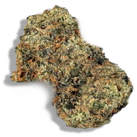 Black Domina