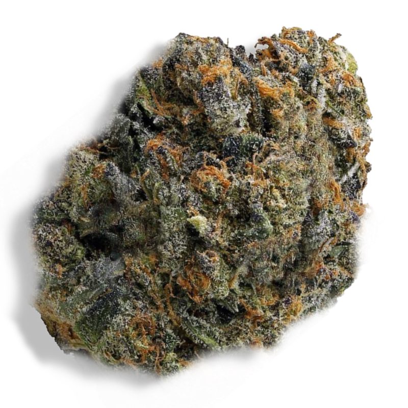 Hindu Kush