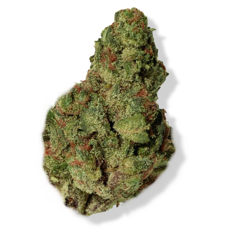 Blueberry Headband