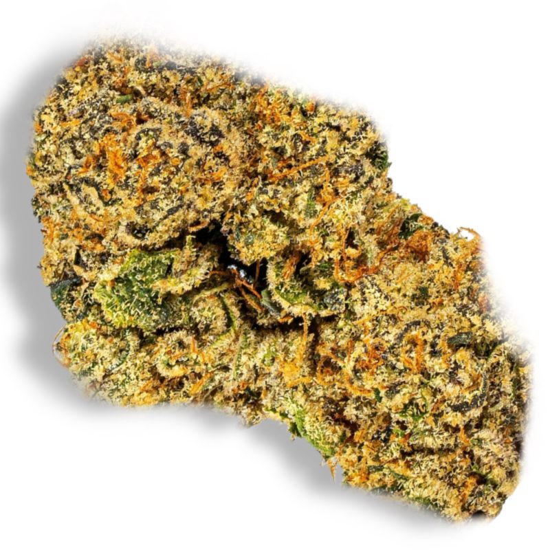 Golden Goat