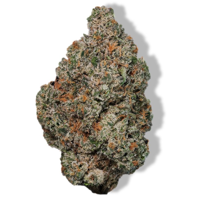 MK Ultra