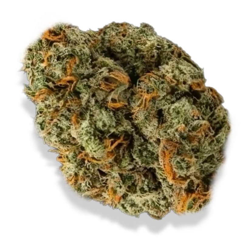 Chocolope