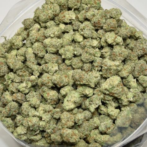 🧨 Gorilla Glue #4 smalls 💥 14g=$55 28g=$89