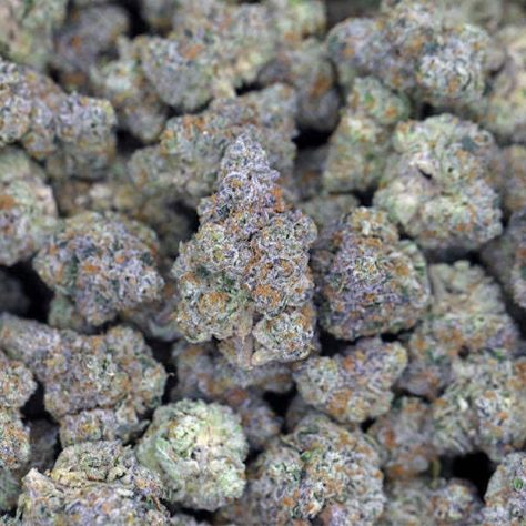 🧨 PURPLE smalls💥 14g=$60 28g=$109