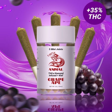 Animal THCa Infused 5pc pack - Grape Ape Indica