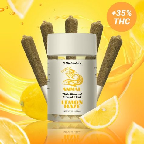 Animal THCa Infused 5pc pack - Lemon Haze Sativa