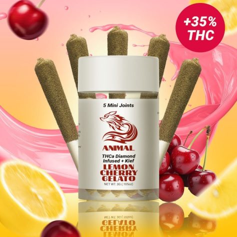 Animal THCa Infused 5pc pack - Lemon Cherry Gelato Indica