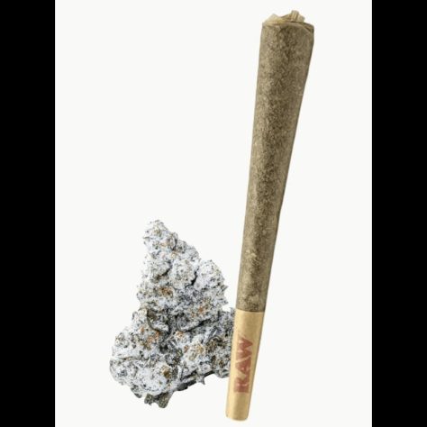 Animal INFUSED Single 0.5g Preroll - Snow Cap Indica